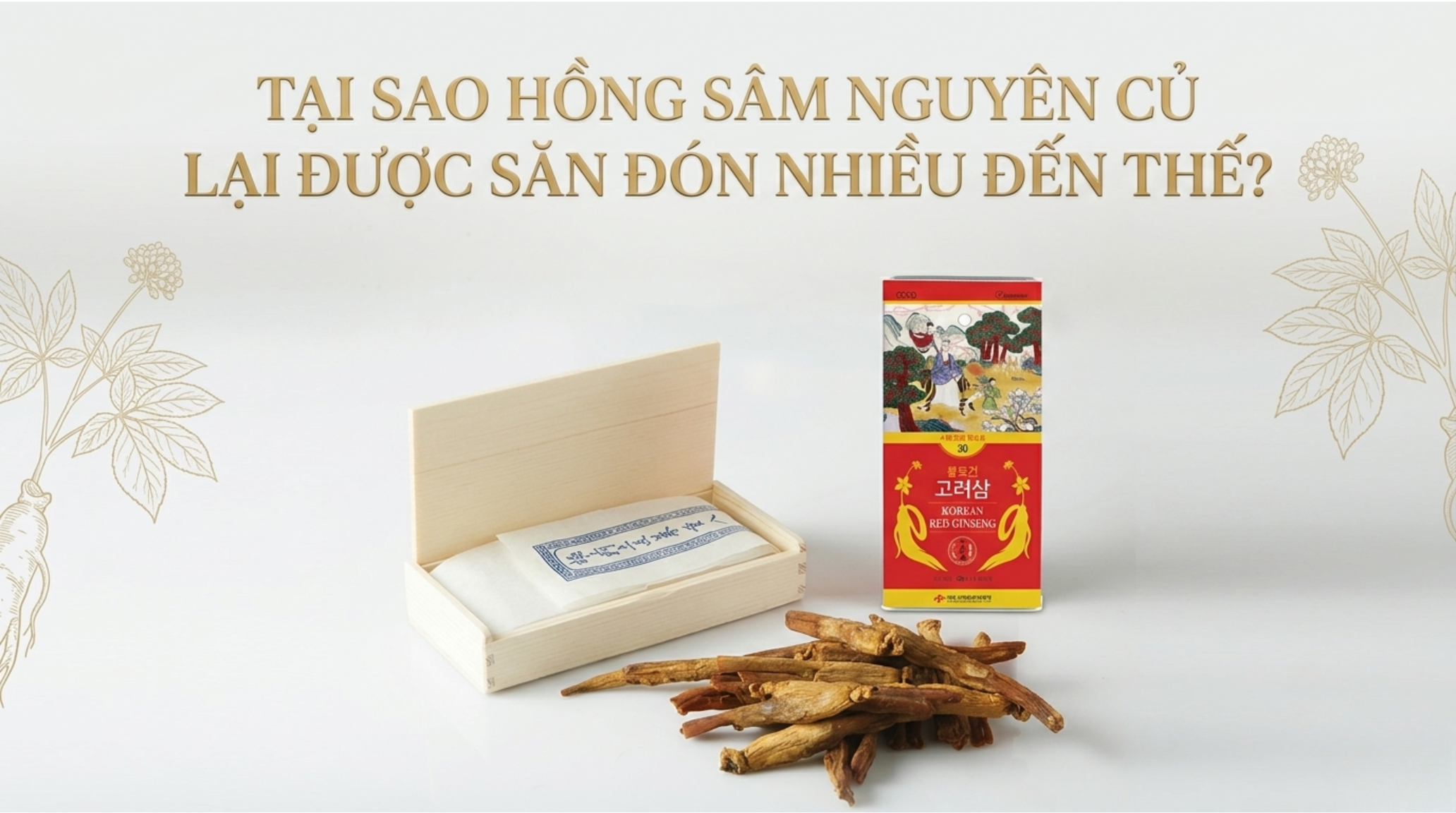 Hồng sâm nguyên củ cao cấp chất lượng, nhập khẩu chính ngạch Hồng sâm nguyên củ cao cấp chất lượng, nhập khẩu chính ngạch