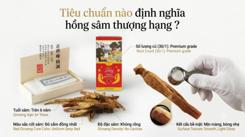 Nhìn vào đâu để biết đó là hồng sâm thượng hạng thực sự?