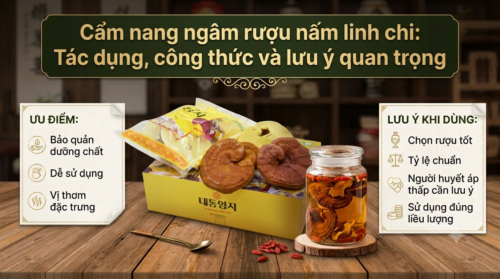 Cẩm nang ngâm rượu nấm linh chi: Tác dụng, công thức và lưu ý quan trọng