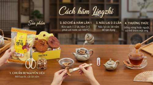 Cách pha trà nấm linh chi Hàn Quốc chuẩn - hiệu quả